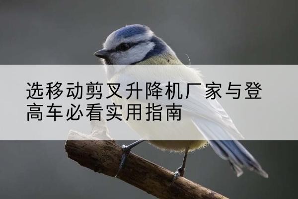 平陆电动升降机厂家-选移动剪叉升降机厂家与登高车必看实用指南