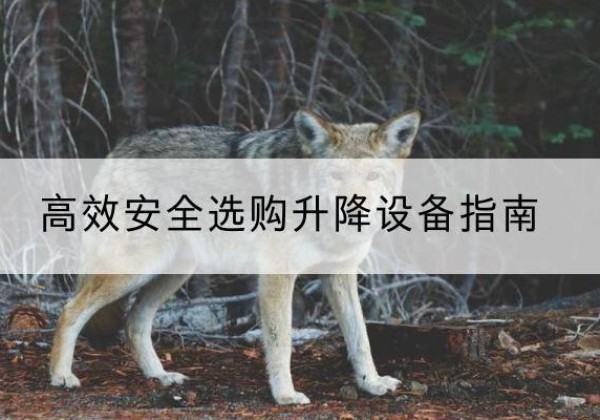 平陆升降货梯厂家推荐-*安全选购升降设备指南