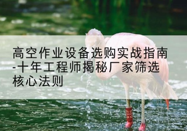 平陆剪叉式升降机厂家-高空作业设备选购实战指南-十年工程师揭秘厂家筛选核心法则