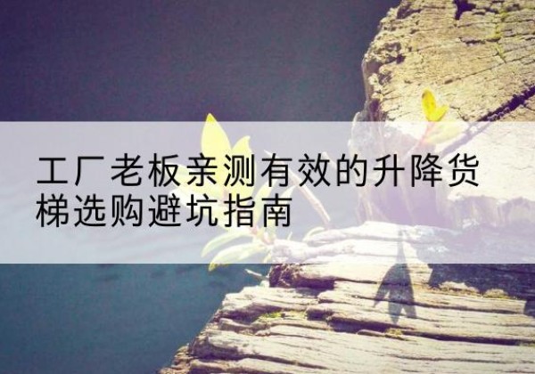 平陆升降货梯怎么选-工厂老板亲测有效的升降货梯选购避坑指南